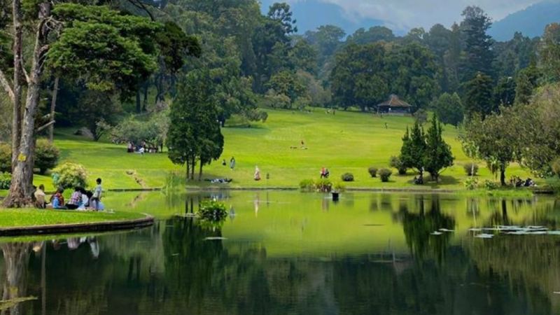Bukit Cisadon Bogor: Destinasi Trekking Asri dengan Panorama Perbukitan