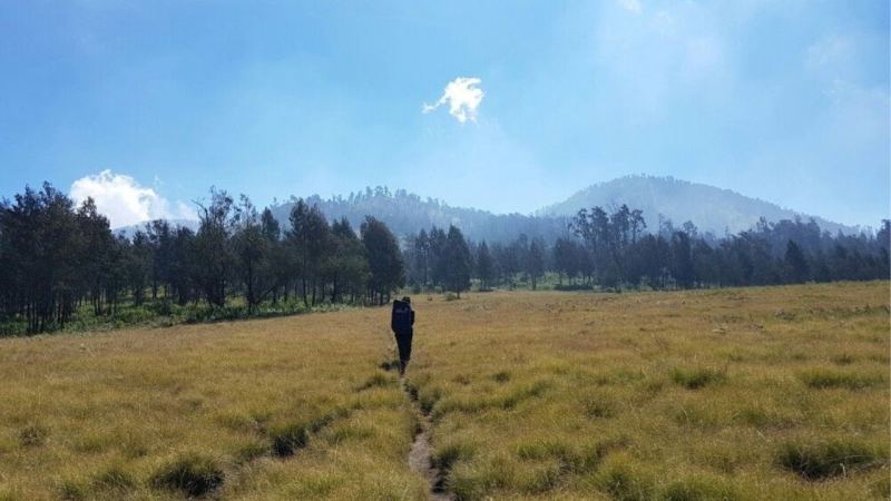 5 Gunung di Jawa Timur dengan Padang Sabana yang Indah, Bukan Cuma Semeru